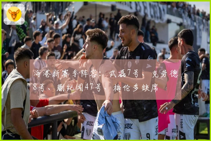 海港新赛季阵容：武磊7号、克劳德8号、蒯纪闻47号，梅伦多缺席